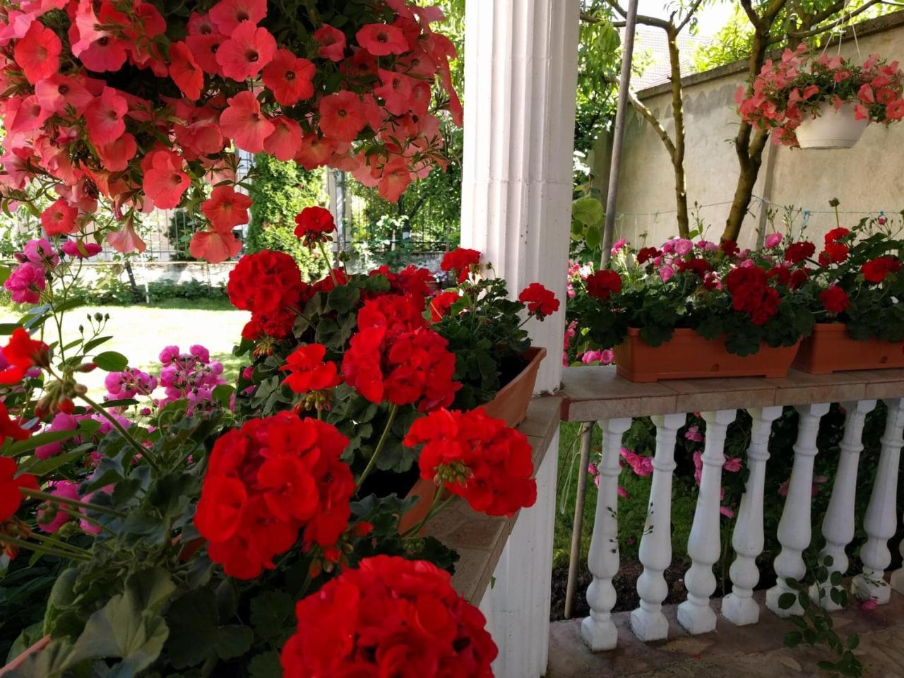 Hotel Casa Monica Băile Felix Esterno foto