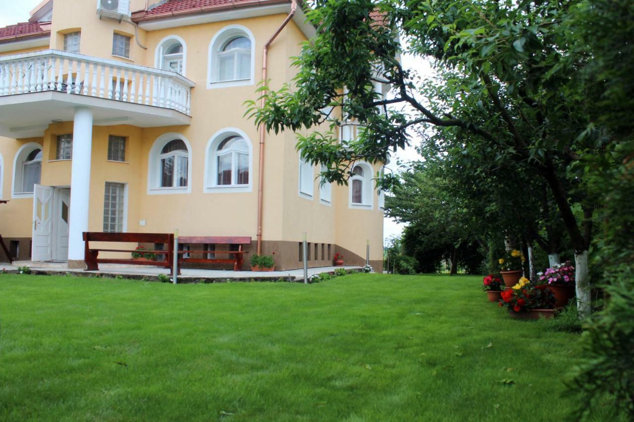 Hotel Casa Monica Băile Felix Esterno foto